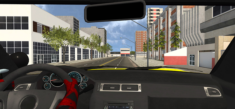 Car Simulation Game